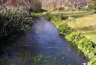 Lee River at Brooklands Farm upstream