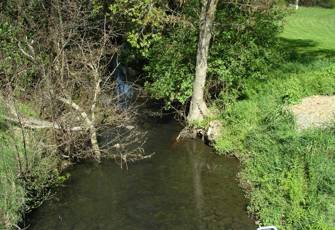 Te Wharau Stream upstream