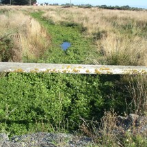 Waikekewai Creek
