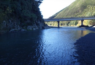 Conway River At SH1 downstream