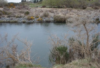 Aparima River at Dunrobin