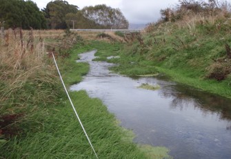 Longridge Stream at Sandstone
