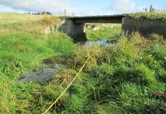 Sandstone Stream at Kingston Crossing Road