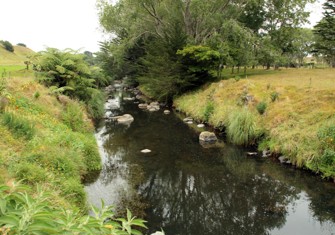 Mangaoraka Stream at Corbett Road 2