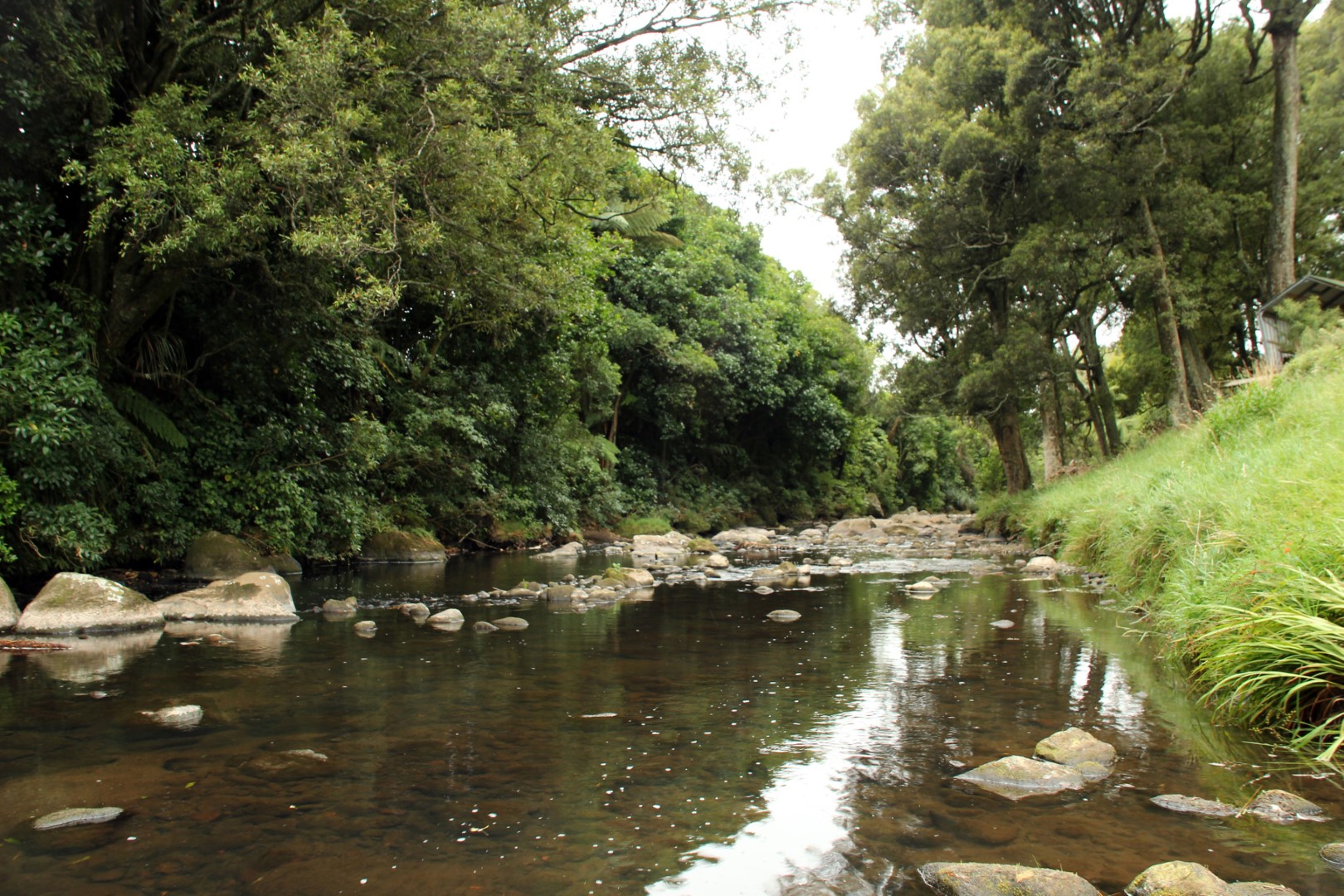 Mangaoraka Stream (Waiongana Catchment)