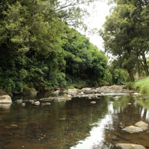 Mangaoraka Stream (Waiongana Catchment)