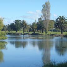 Waikanae Creek