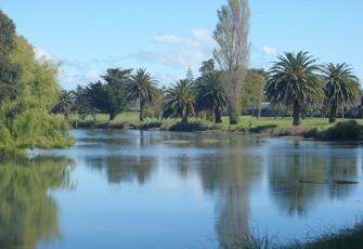 Waikanae Stream