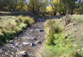 Cattle Creek 2