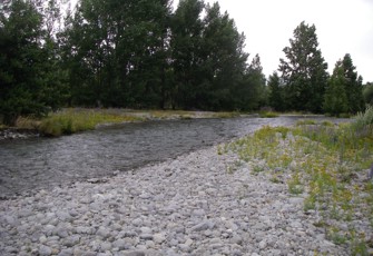 downstream 1