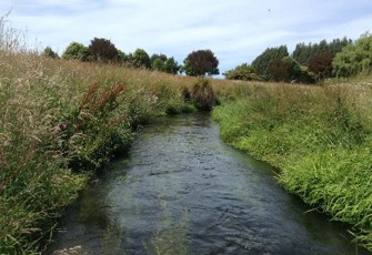 Waikakahi Stream at Te Maiharoa Rd