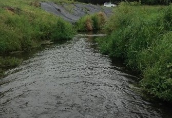 Taranaki Creek upstream Gressons Road