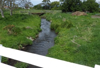 Lyell Creek downstream