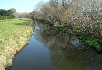 Styx River at Teapes Road upstream