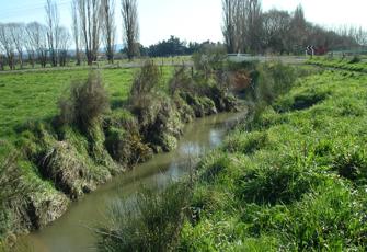 Cam River at Marsh Road upstream
