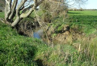 Cam River at Marsh Road downstream