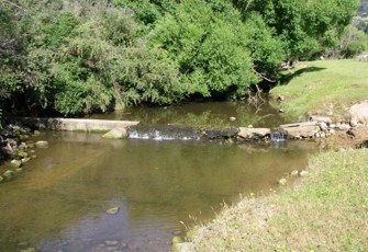 Wainui Stream upstream of main road