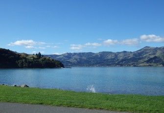 Wainui mouth