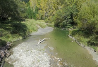 Ihungia River at Ihungia Road