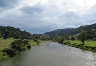Wharekahika River U/S of Wharf Bridge