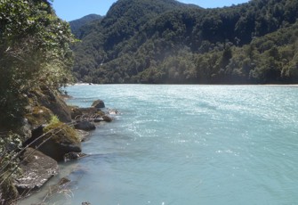 Haast River @ Roaring Billy (1)
