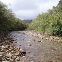 Orowaiti River