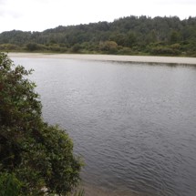 Grey River
