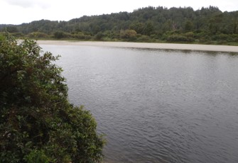 Grey River @ Dobson