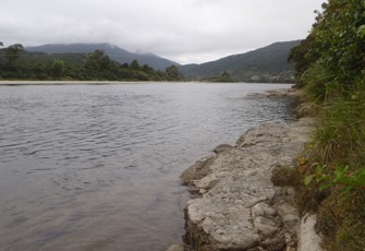Grey River @ Dobson (1)