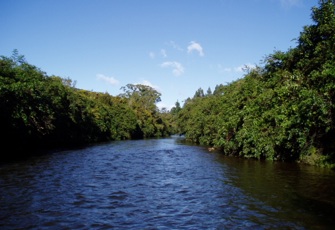 Seven Mile Ck @ u/s Dunollie Ox ponds