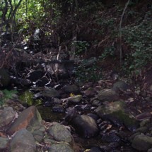 Zephyr Stream