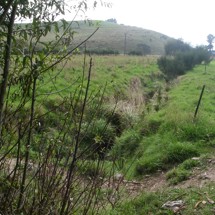 Duck Creek
