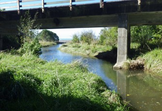 Blue Duck Creek downstream from site