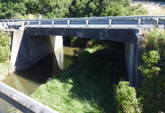 Blue Duck Creek looking upstream towards SH1 bridge