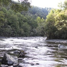 Mohaka River