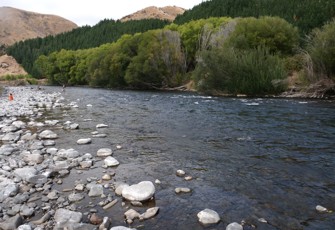 Mohaka downstream of Ripia River confluence