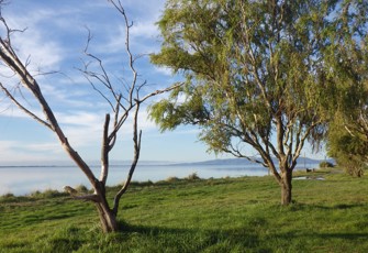 Lakeside Domain