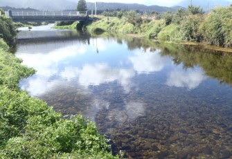 Ellis Creek (1)