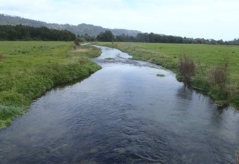 Berry Ck looking downstream