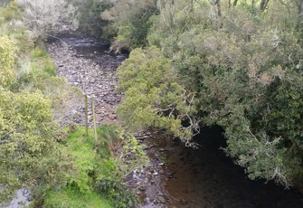 Manganui River at SH3
