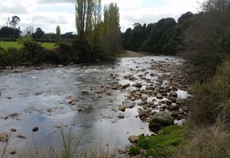 Manganui River at Bristol Road