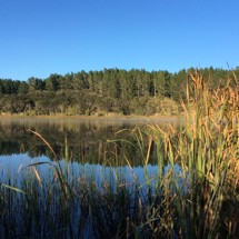 Lake Kahuparere
