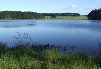 Lake Swan