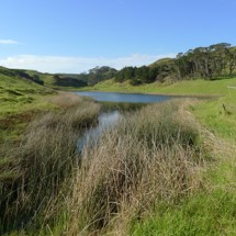 Lake Wainui