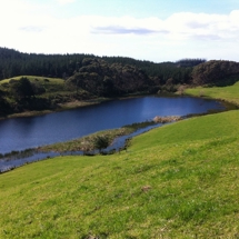 Lake Carrot