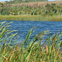 Lake Heather
