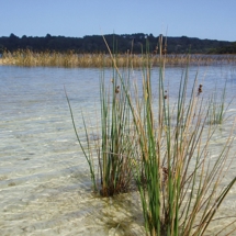 Lake Kai iwi