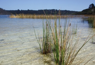 Lake Kai Iwi