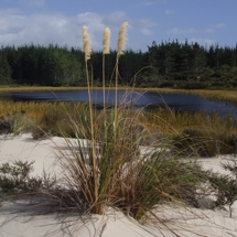 Lake Morehurehu