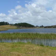 Lake Ngakapua South